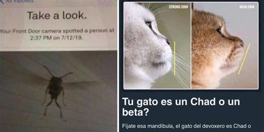 19 Legendary Jokes That Have Ascended To 'Comedy Heaven'