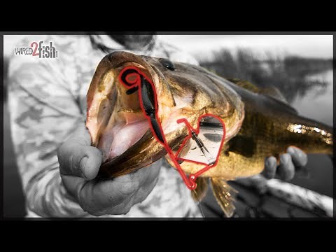 4 Spring Buzzbait Fishing Tips for Bass