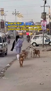 1M views · 10K reactions | Dogs protecting her from real dogs . . . #Ramadan #RamadanReels #PakistaniMemes #IndianMemes #TrendingReels #Explore #ramadanmemes | Muhaddisa Zehra | Facebook