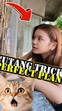 She Outsmarted the Store Owner.. Credit Trick Worked Perfectly🤣