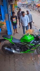 Por tantas escuelas de stunt | Bikers Stunt