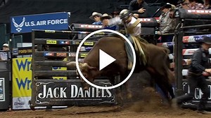 Bushwacker Is a Tough Bull