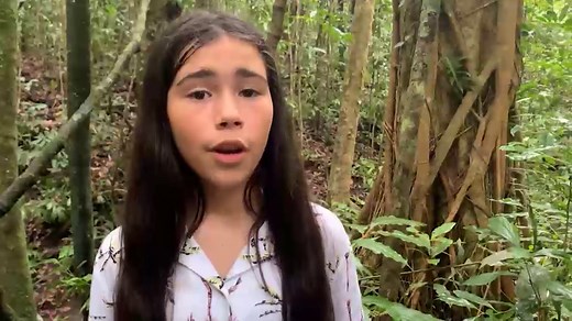 Fantastic Forests - Behind The News