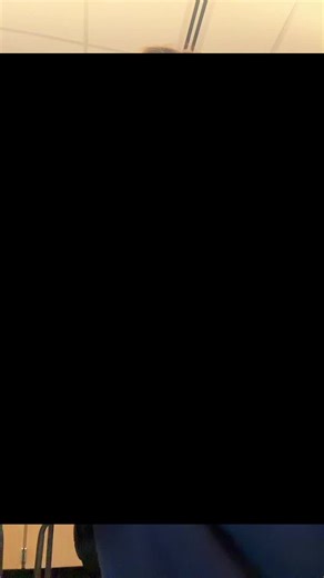 Toning Your Hair: A Guide to Bleached and Pink Stripes