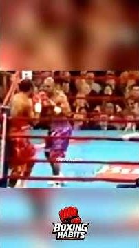 Evander Holyfield vs Lewis Lenox