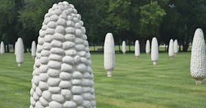 Curious Cbus: What's The History Of Dublin's Concrete Cornfield?