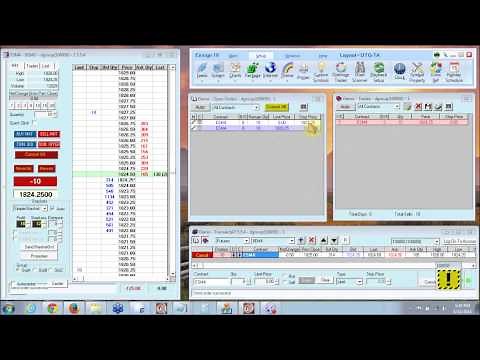 Delta Trading Group TransAct Trading Ladder Basics