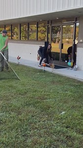 We were able to successfully add our existing chickens to our newest flock. To read how to add chickens to your flock, visit our blog at carolinacoops.com #carolinacoops #backyardchickens #chickens #raisingchickens #homestead | Carolina Coops