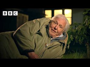 Sir David Attenborough sends a hedgehog on his way 🦔 | Wild London - BBC