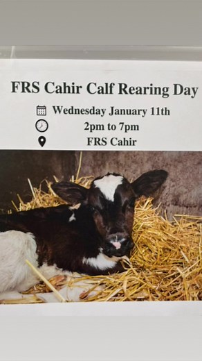 FRS calf rearing day where Herdwatch were on hand to demonstrate our Herdwatch and Flockwatch farm management apps! Thanks to FRS Cahir and FRSDirect for organising the event! #calving23 #calfrearing #farmsoftware | Herdwatch | Facebook