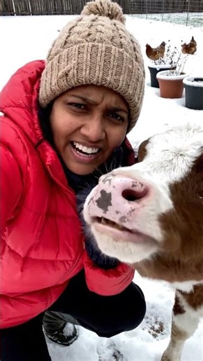 A Snowy Day Cuddle and an Unexpected Dental Inspection