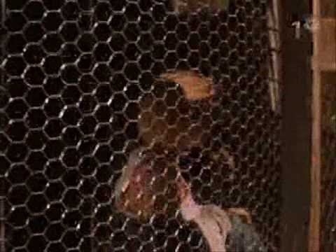 Tales From The Crypt - Four Sided Triangle - Season 2 - Episode 9 - Part 1/3