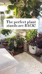My favorite unexpected houseplant stand! These work so well as unique side tables as well. We can all use more space for our plants, and I love mixing heights! A trailing plant cascading over the side is just 👌🏻 Comment ‘STAND’ for the link! | House Plant