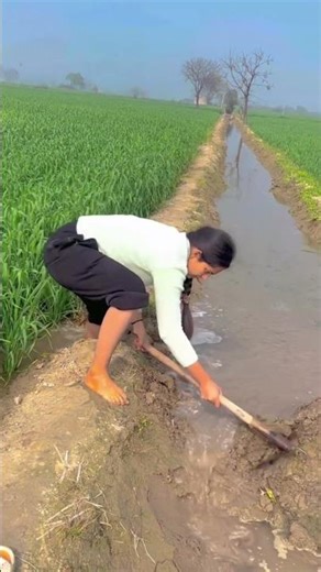 Kanka #agrifuture #modernagriculture