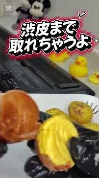 【秋の食材】栗ご飯 & 栗の皮の剥き方 (渋皮の剥き方) パカッと渋皮剥くぞ～ #VTuber #料理 #cooking #food #instafood #HOWTO