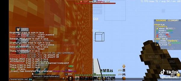 RainoMC Minecraft Server: Exploring DDoS Challenges