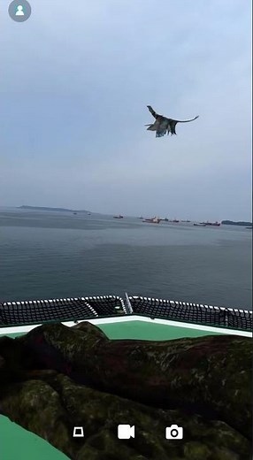 Jake’s Banshee in AR – The Legendary Mountain Banshee! #augmentedreality #avatar #ikran