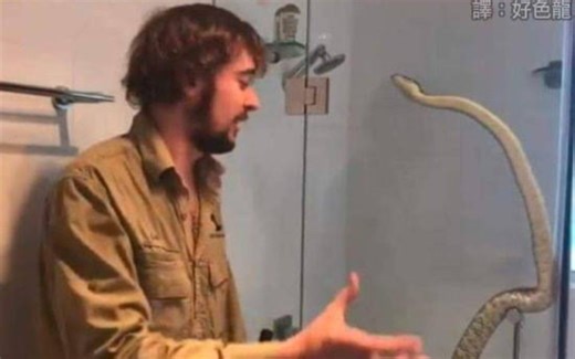 如何学Python？ 【网络搞笑meme梗图】