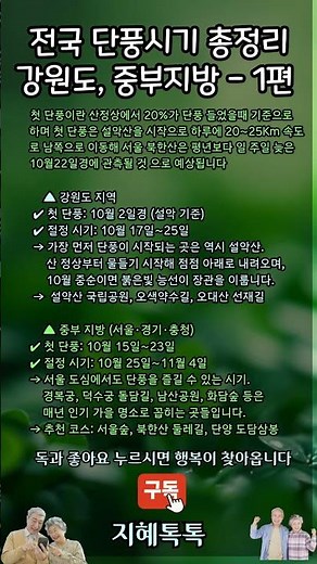 전국 단풍시기 총정리 강원도 중부지방 1편 #지혜톡톡 #단풍여행 #가을명소 #단풍정보 #가을풍경