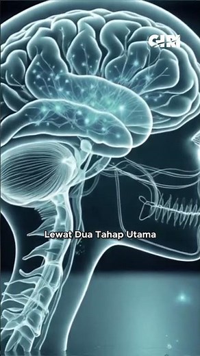 BAGAIMANA OTAK MENYIMPAN MEMORI JANGKA PENDEK DAN PANJANG?