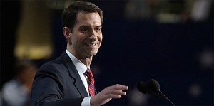 Interesting Facts About Tom Cotton's Wife, Anna Peckham​