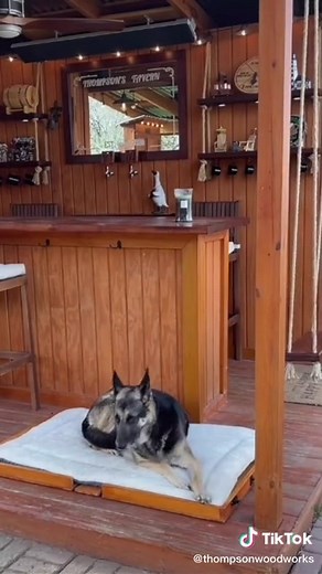 DIY Portable Dog Bed for the Bar | Keep Bugs Out with this Woodworking Project!