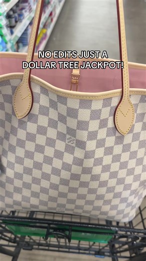 Dollar Tree Shopping Finds: A Jackpot of Deals