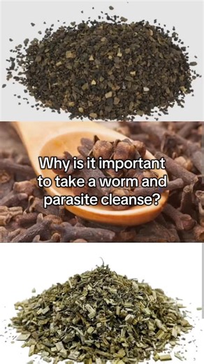 COLON CARE CLINIC... on Instagram: "Why is it important to take a worm and parasite cleanse. 1. It supports digestive health. Since parasites steal nutrients from your food.Contributes to bloating, gas, constipation, or diarrhea 2. Help with Unexplained Symptoms like fatigue, sugar cravings, brain fog, mood swings, and skin issues. 3. Boost immunity. 4. Better nutrient absorption and much more. Herbs that help with parasite and worm cleanse are 1. Black Walnut Hull 2. Wormwood 3. Clove All are a