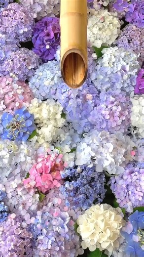 418K views · 17K reactions | Japan blooms like a painting—every flower tells its own gentle story.  | Sakurazaka Japanese Language & Cultural Center | Facebook