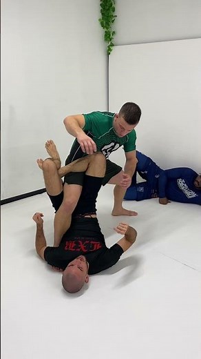 Transitioning from Standard Ashi to Outside Ashi: Leg Lock Fundamental #brazilianjiujitsu