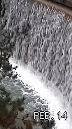 The Disneyland Hotel 1995