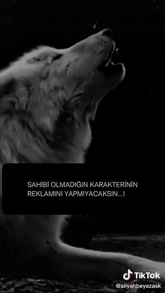 Dramatic Wolf Howling in Black and White Forest Scene