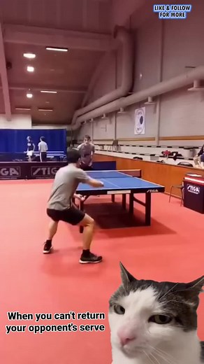 Table Tennis Match: Mastering the Perfect Serve