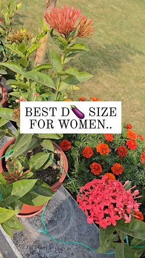 154K views · 236 reactions | BEST D SIZE... #relationship #love #HeartfeltMessage #psychologyfacts #facts #factsyoudidntknow #women #men #attraction #thinkabout | Lover's GUIDE | Facebook