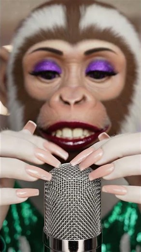 ASMR Chimpanzee Diva Tapping & Brushing ✨ Uncanny Comfort