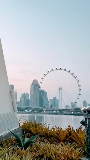 ✈️This is your sign to visit Singapore.🇸🇬 #travel #trending #shorts #viral