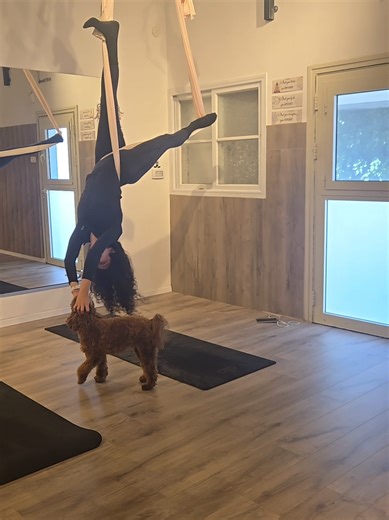 Aerial Yoga with My Best Friend