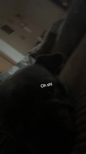 user27303861441 (@usename05816)’s videos with Sad violin meme sound - Mooni_Nightly