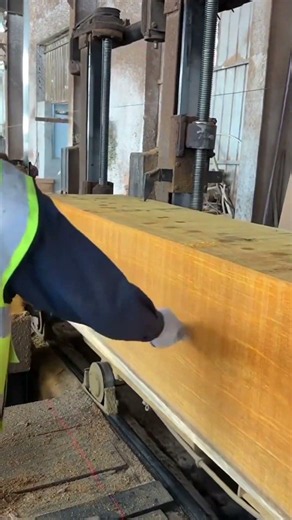 How to Easily Cut Huge Wood Logs Using Industrial Sawmills