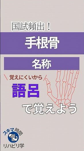 【語呂で覚える国試】手根骨の名称を語呂で覚えよう！#理学療法士国家試験 #作業療法士国家試験 #理学療法士 #作業療法士 #基礎 #勉強 #語呂 #骨 #手根骨 #骨の名称