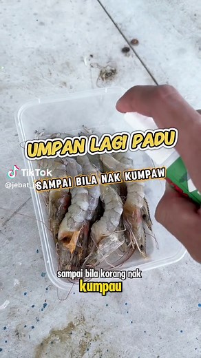 Cara Upgrade Umpan Mancing dengan Spray