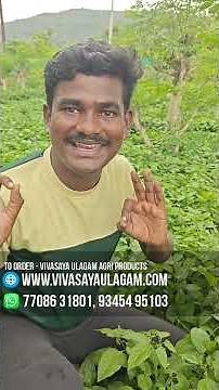 It's been six months since our company started, folks 😊😊