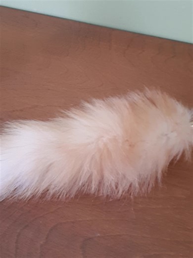 Do I have a fur farm tail ? I bought it from Amazon and it was supposed To be a faux fur tail :( #otherpaw #notatherian / #theriangear #tail #therian