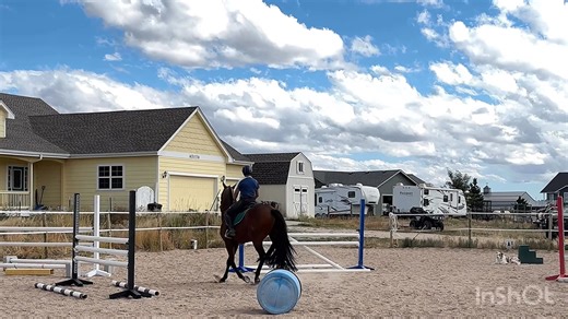 When you're having so much fun, the jumps seem way smaller than they are because you're not measuring them. Dang it for being a past jumper and thinking all jumps look microscopic. 🤣🤣🤣 Mr. Bentley was game for it all!!! We worked on single fence courses, single barrel jump for straightness, and enhancing his focus. Jumps ranged from 3’-3’9” Love my boy to the moon and back. 💖📸 | Jennifer Bolton
