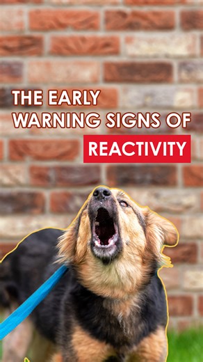 29K views · 679 reactions | Our certification programs will be a...