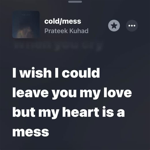 Lyridoc on Instagram: "I wish I could leave you my love but my heart is a mess #prateekkuhad #coldmess #foryou #fyp #lyrics #applemusic #relatable #poetry #explorepage #iwishicould #memories #relationships"