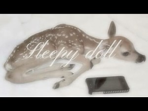 ⟢ audios because it's autumn !! ⋆✴︎˚｡⋆ || + timestamps