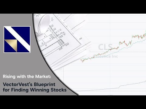 Rising with the Market: VectorVest’s Blueprint for Finding Winning Stocks | VectorVest