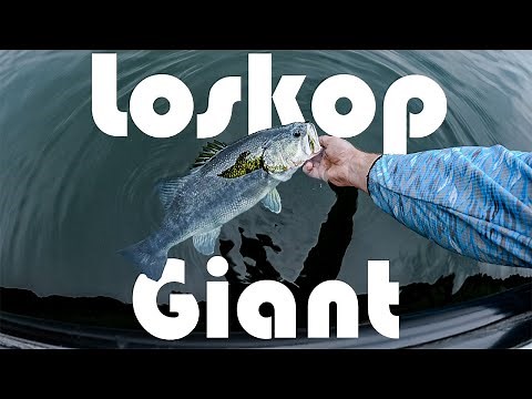 Fishing South Africa's Best Dam For Giant Bass! | Loskop Dam