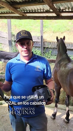 Bozal para Caballos: Utilización y Beneficios